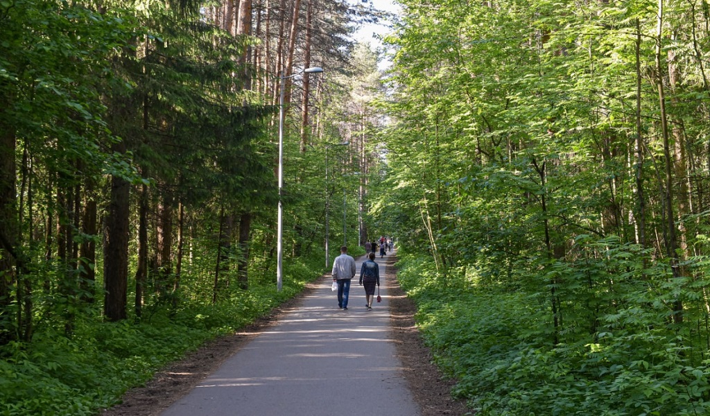 Проект зеленый город пермь