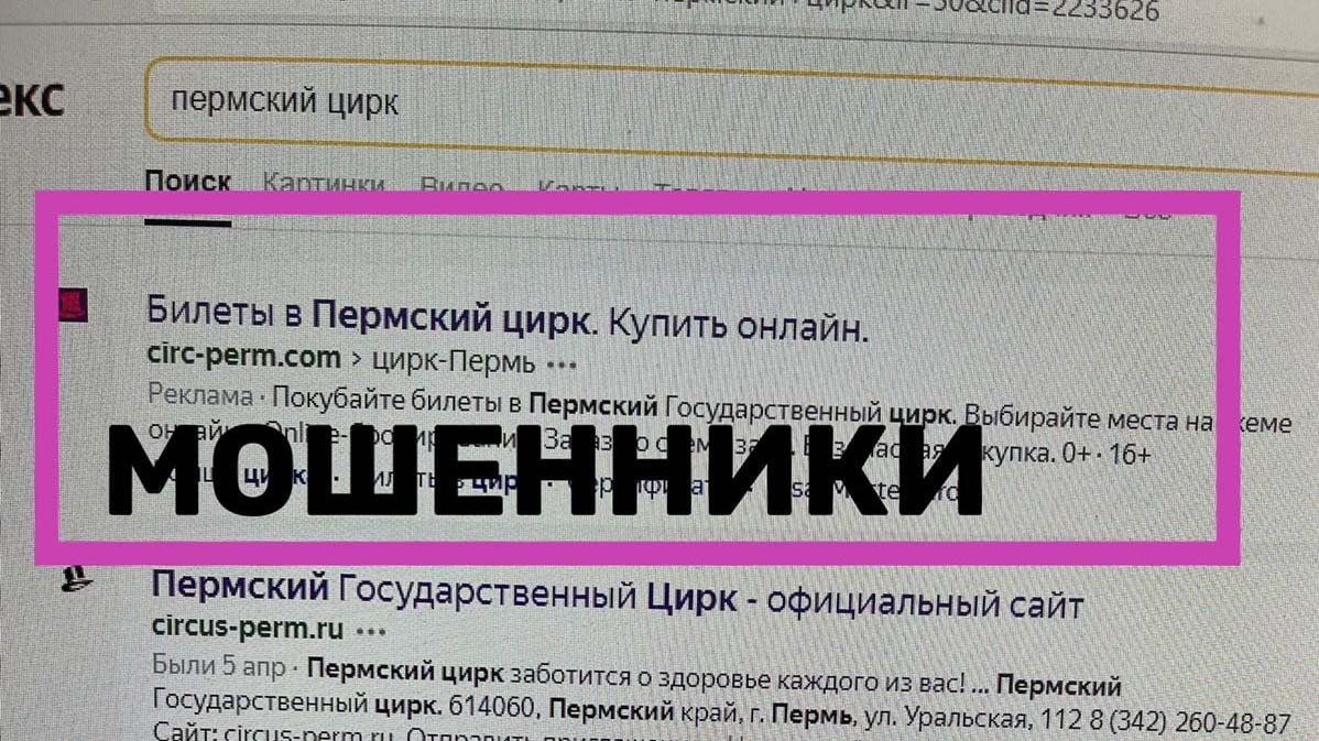 В Пермском цирке предупредили о билетных мошенниках | Рифей-Пермь: новости  Перми и Пермского края