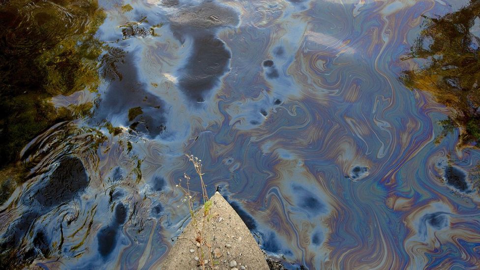 Разлив нефти на реке Кама. Кама нефтяное пятно. Река Кама грязная. Разлив нефти в Пермском крае. Сосна утонет в нефти