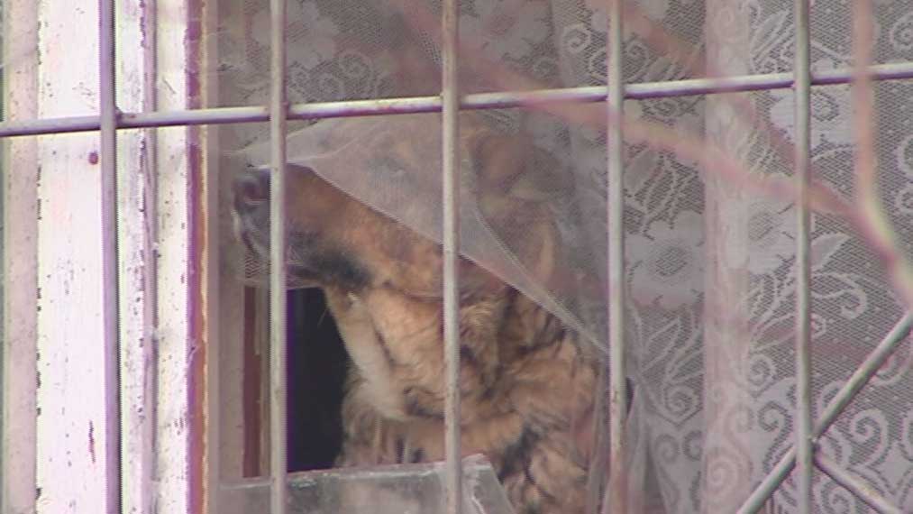 Поддержка сообщества